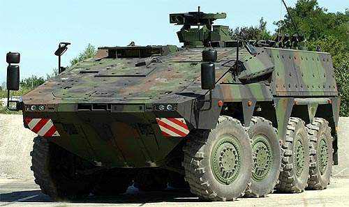 1-boxer-mrav.jpg