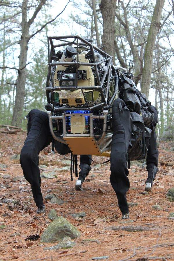 boston dynamics big dog robot