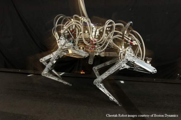 military robot cheetah