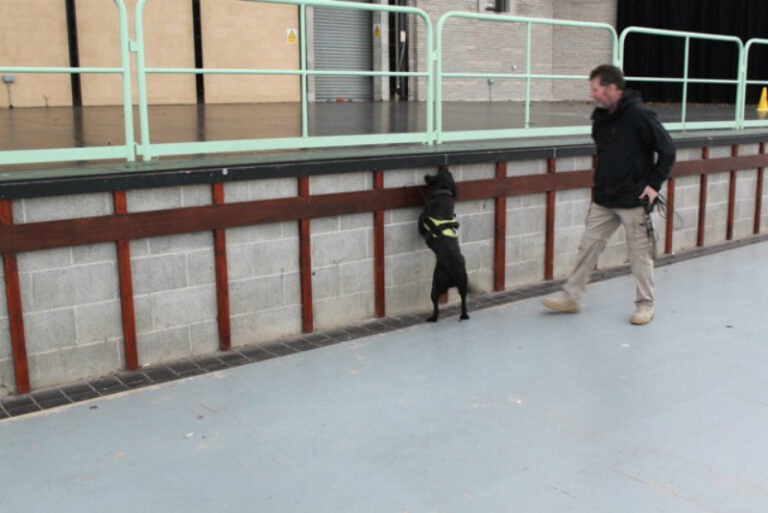 Sniffer dogs technology and techniques enhancing canine detection