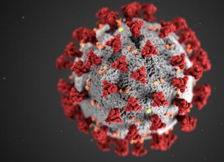 US Army researchers work on coronavirus Covid-19 vaccine